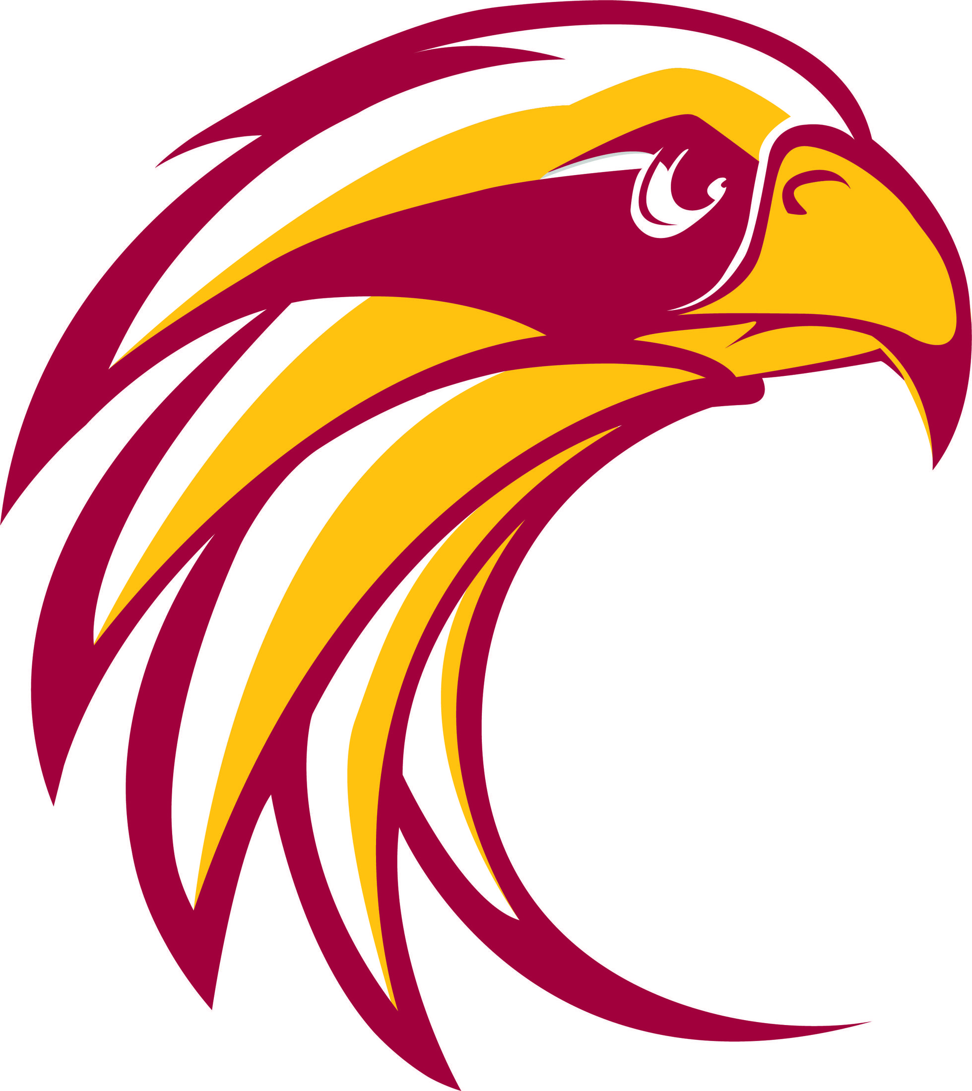 Riverhawk Logo