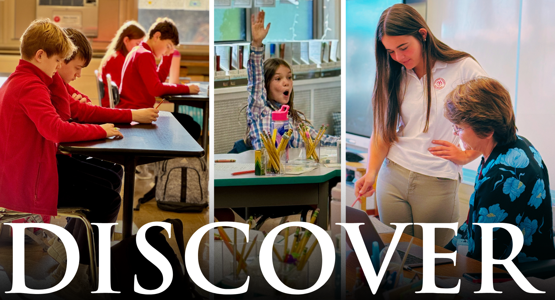 Discover