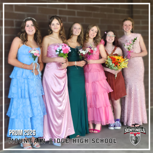 Highlighting the first submissions from The Sentinel Vault!