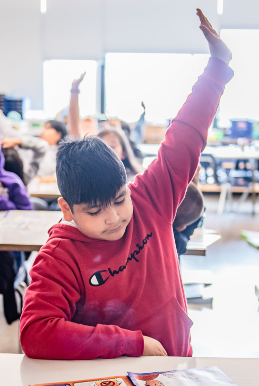 student in red sweatshirt raising his hand