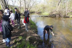Students watch as their teacher releases salmon into Buck Creek.