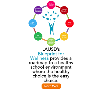 Wellness Policy Plan