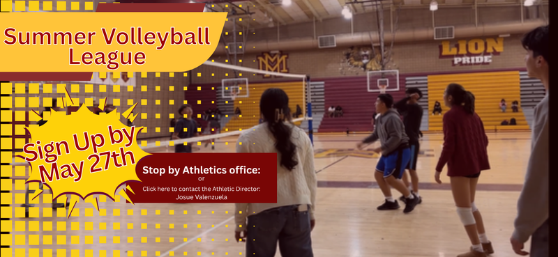 Summer Volleyball League