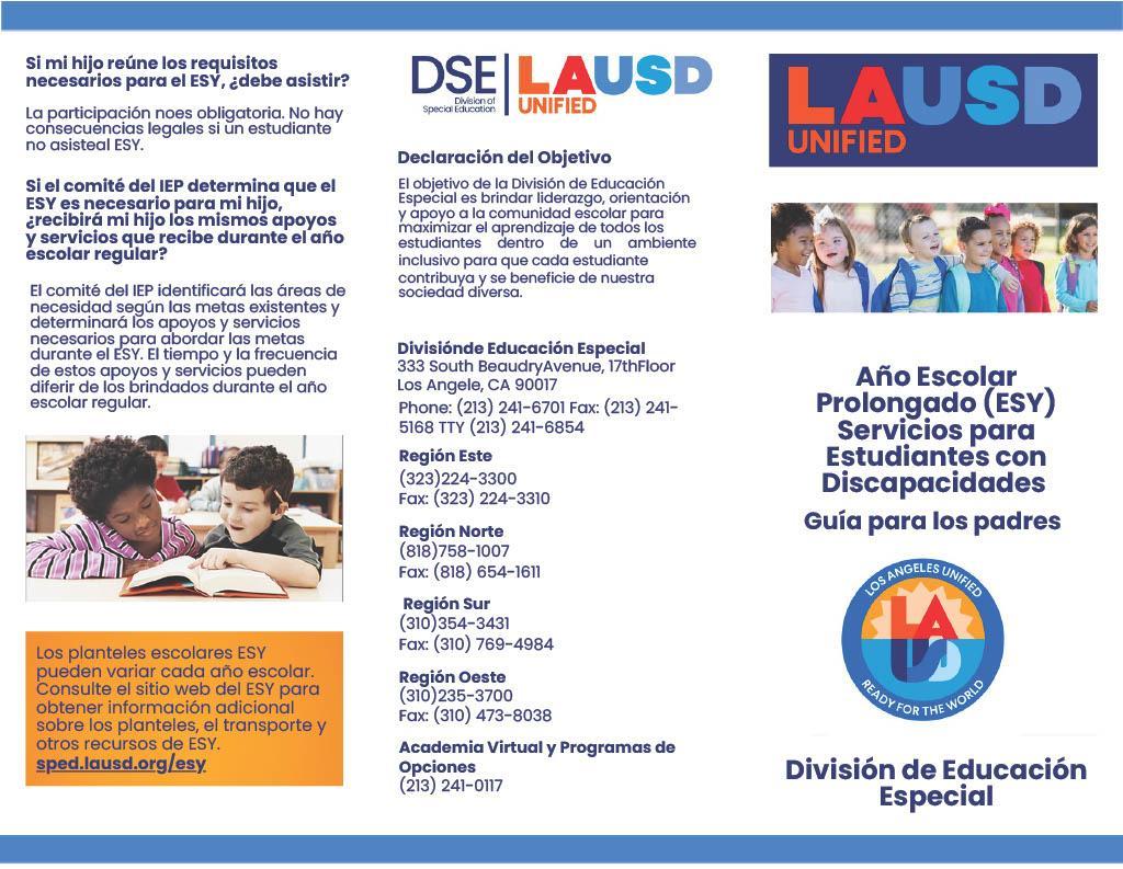 ESY Brochure (Spanish)