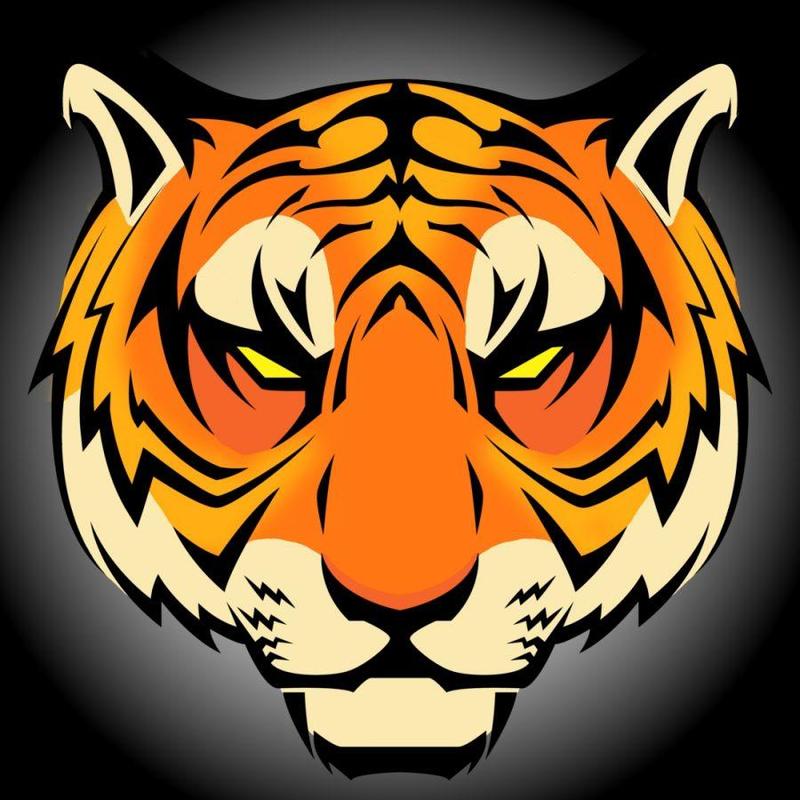 BENGAL HOMECOMING!!!! Featured Photo