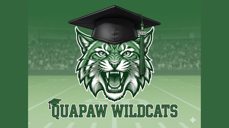 This is an image of a wildcat in a graduation cap, reflective of the thumbnail for the youtube video mentioned in the post.