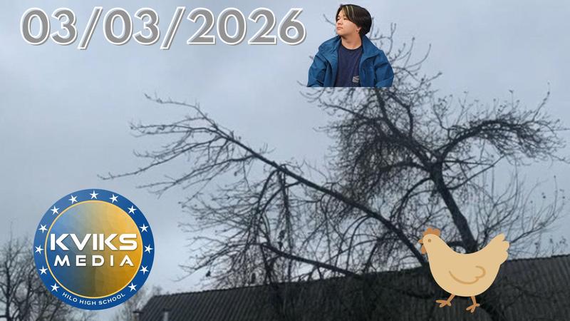 03/03/2026 KVIKS News Bulletin