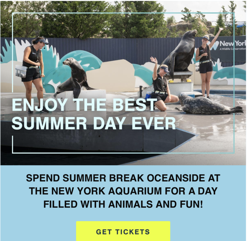 NY Aquarium Promotions Featured Photo