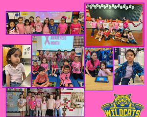 Breast Cancer Awareness