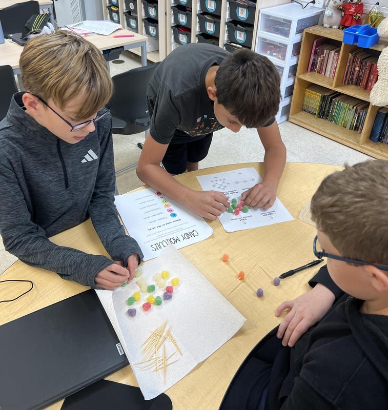 Coal City students excel, achieving proficiency above state averages