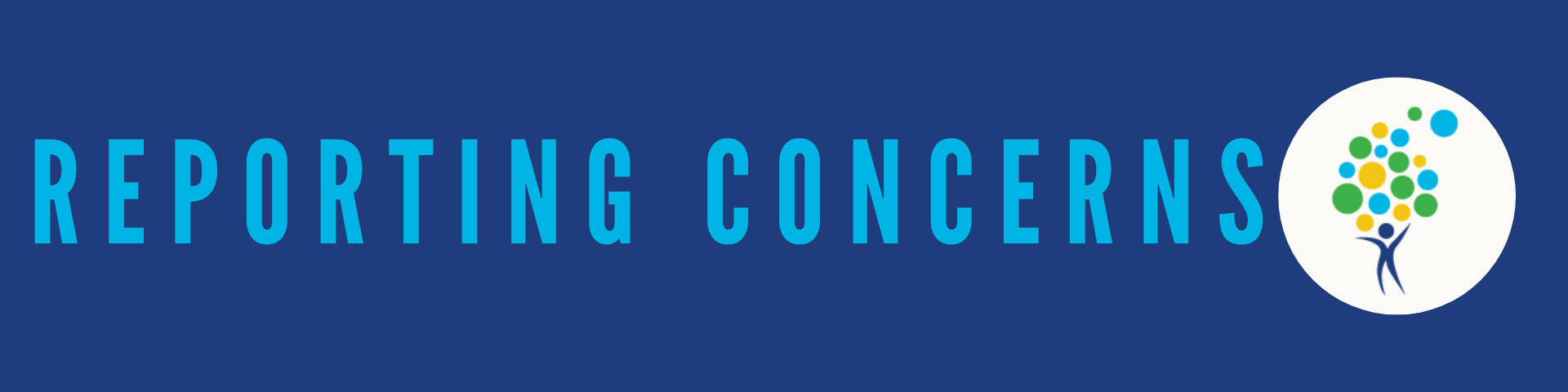 Reporting Concerns