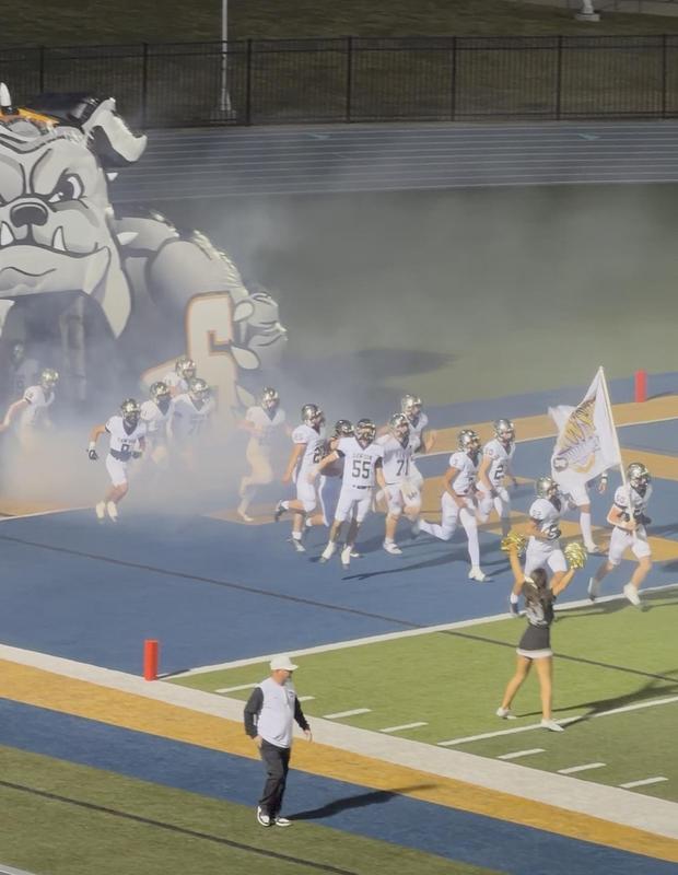 Great Season, Bulldogs