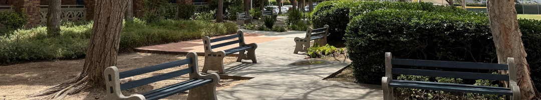 A path in the school, lined with benches