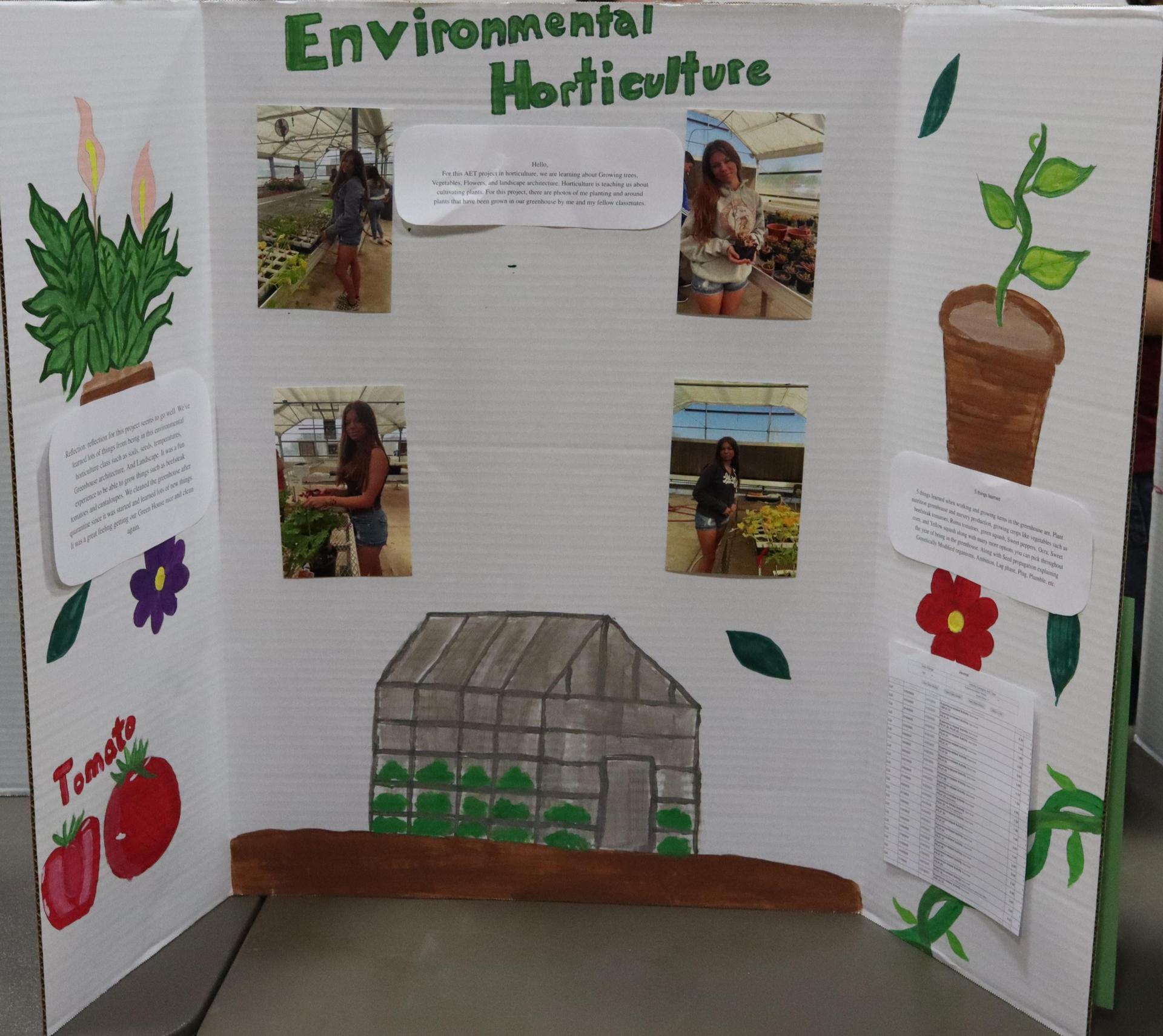 A Supervised Agricultural Experience trifold display