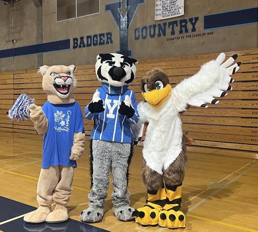 Three mascots standing in the gym (cougar, badger, and hawk)