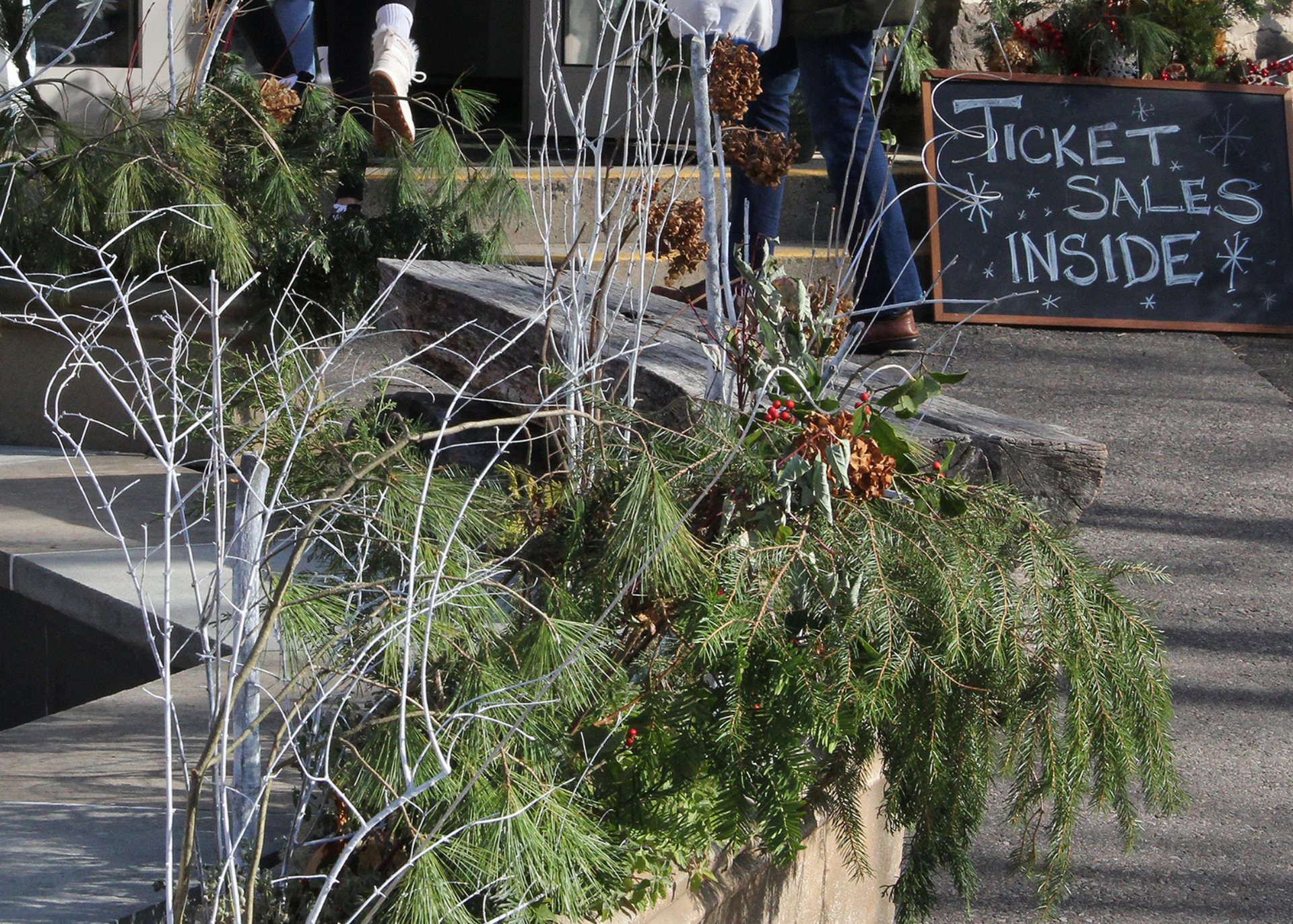 Snowflake Festival 2024