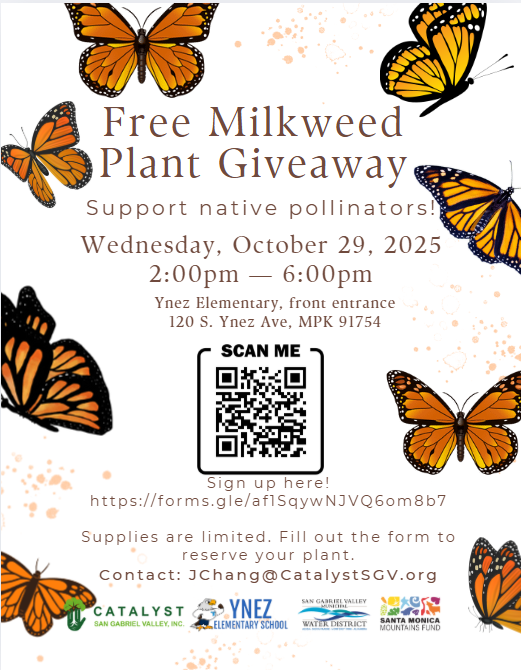 Milkweed Giveaway Flyer