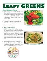 Leafy Greens
