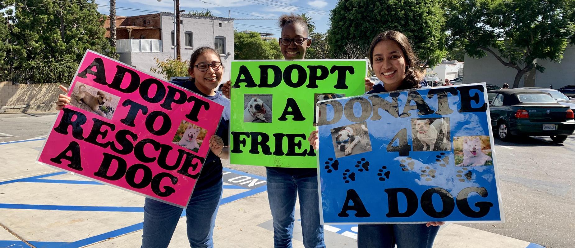 dog rescue