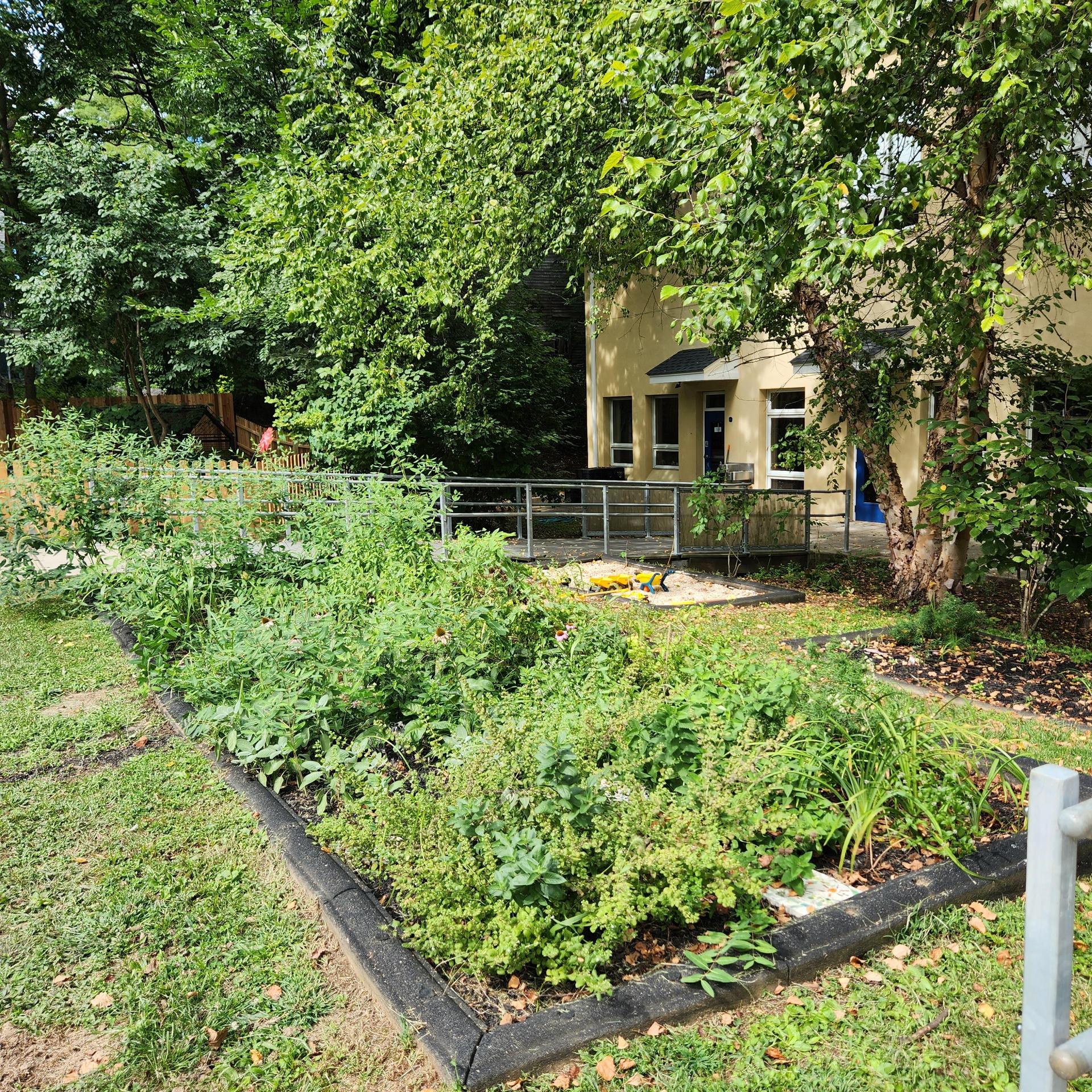 Preschool Philadelphia Area | Private School Haverford | Pollinator Garden