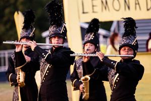 Band Picture