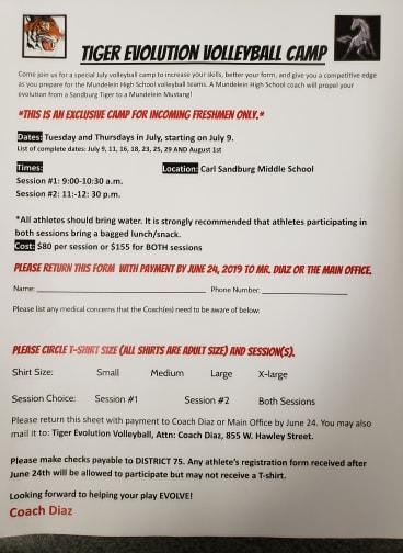 Tiger Evolution Volleyball Camp