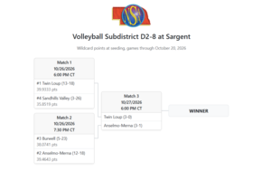 NSAA Volleyball Subdistrict D2-8 bracket