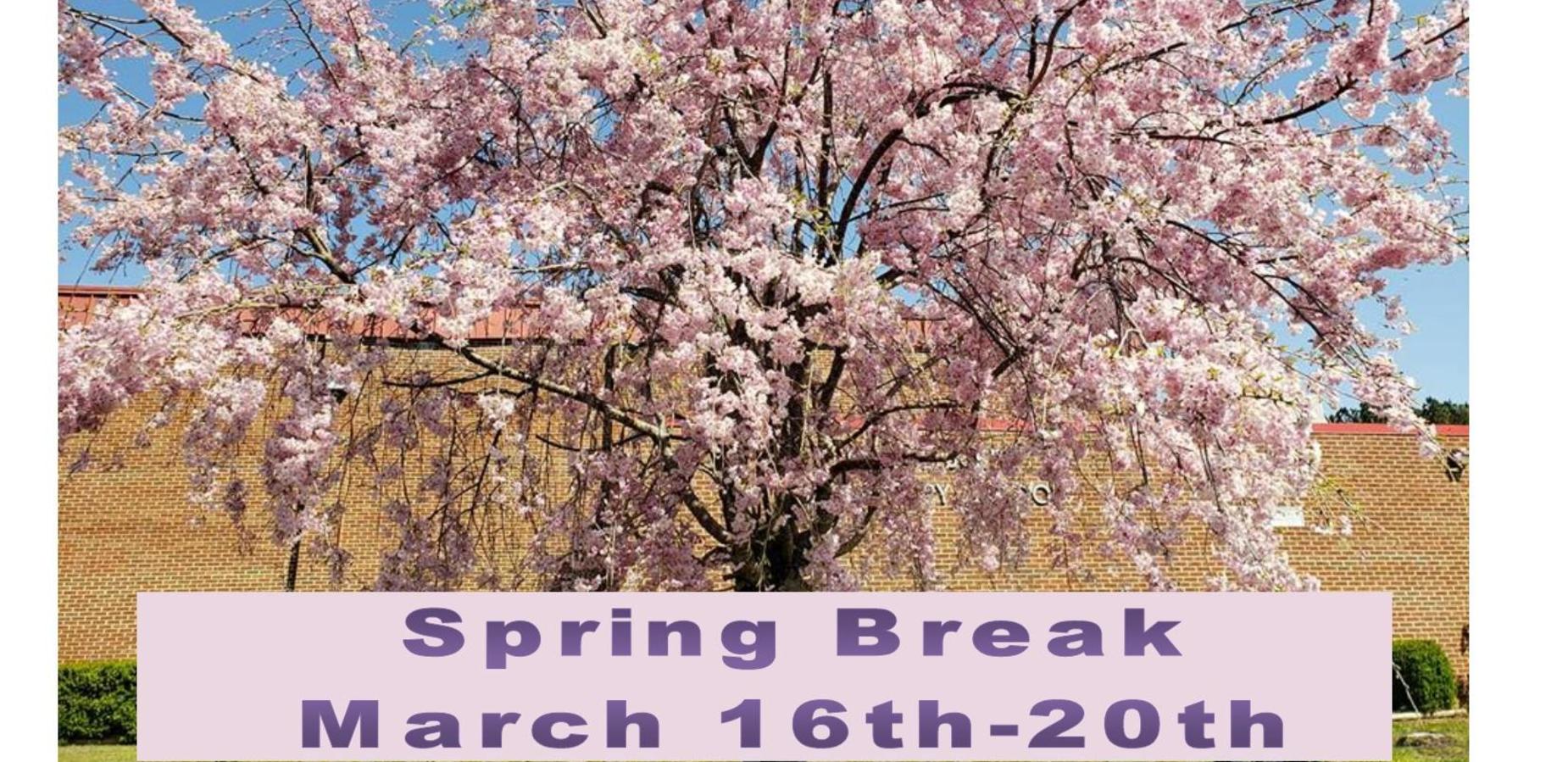 Spring Break March 16th-20th