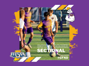 promo graphic - boys soccer sectional 2025