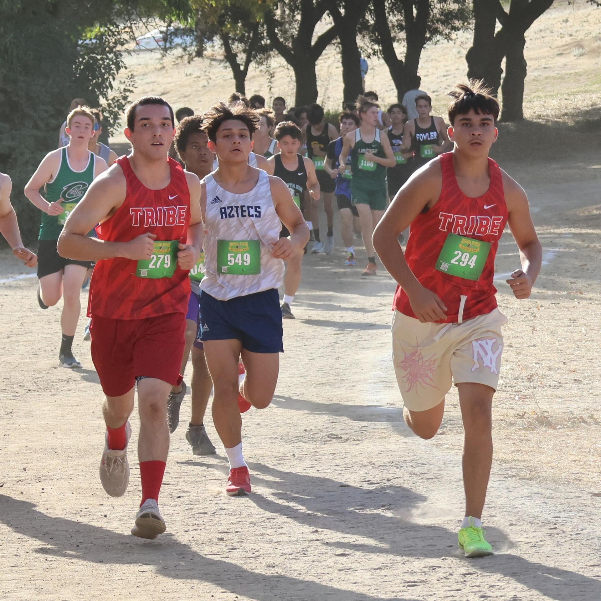 cross country runners in action