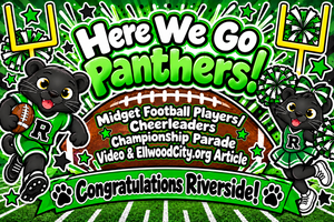Panthers Championship Parade Banner.png