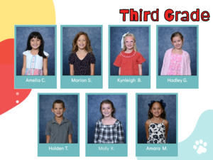 Wildcats representing Respect for Others