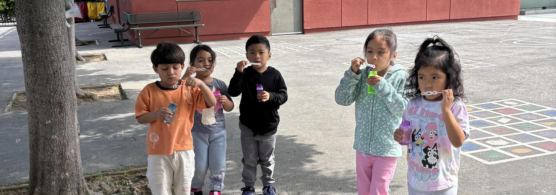 B is for bubble day!