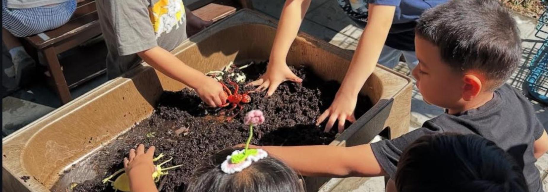 outdoor freeplay