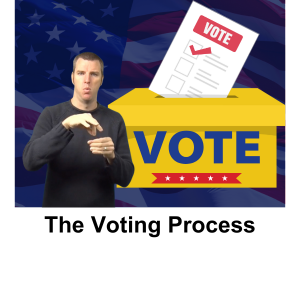 The Voting Process
