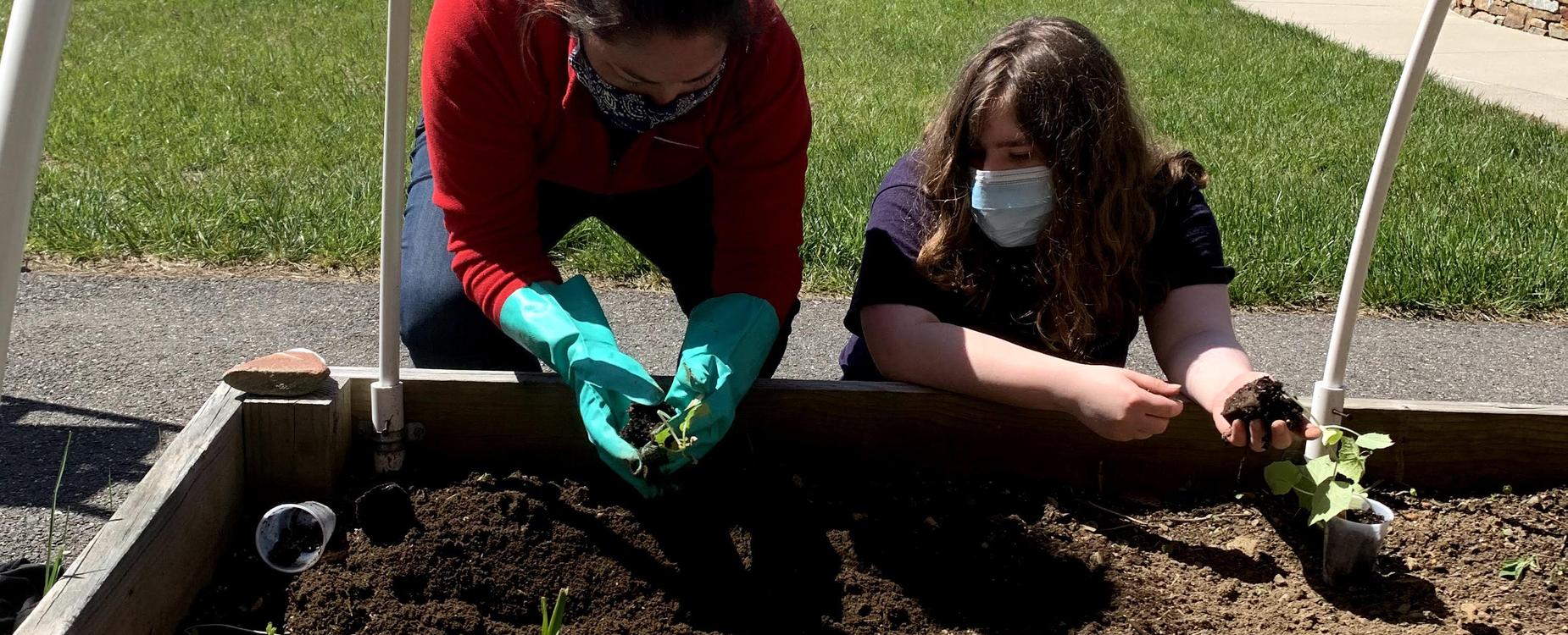 Students at Southbridge Middle School work on a gardening project