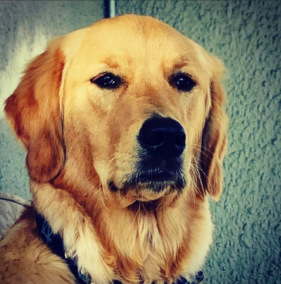 Nash