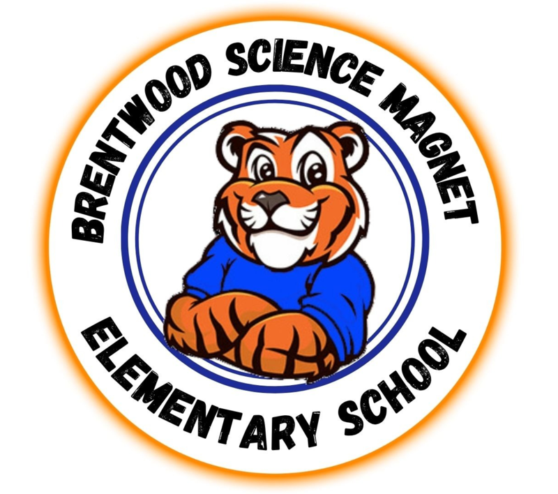 BSM LOGO