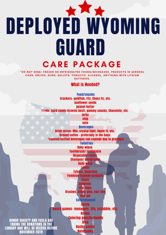 deployed flyer.png