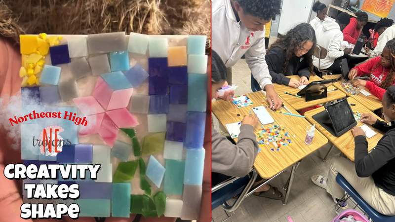 Northeast High Resource Management Class Projects