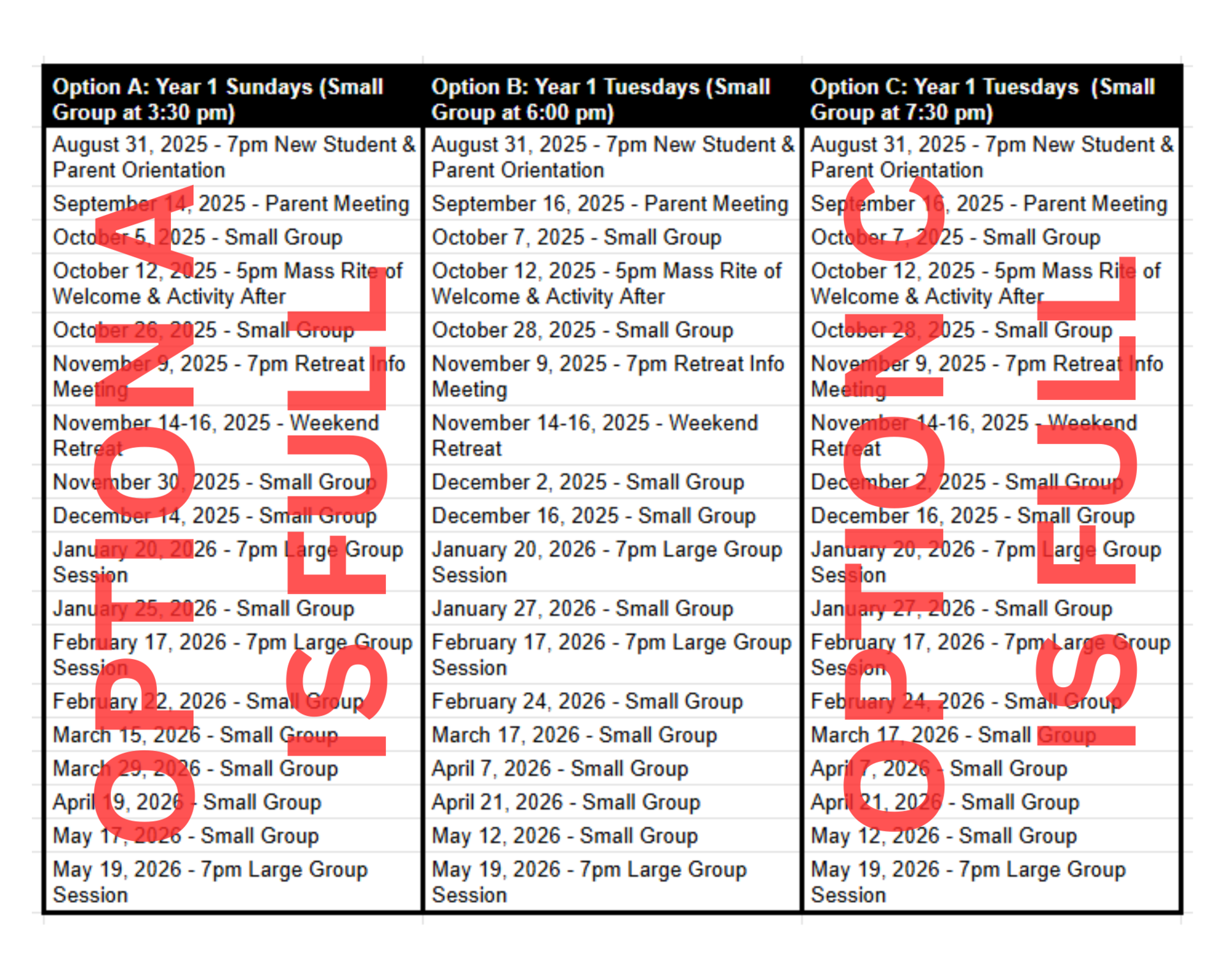 Schedule Options