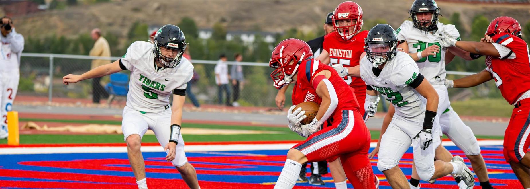 Football player running with the ball during a game.