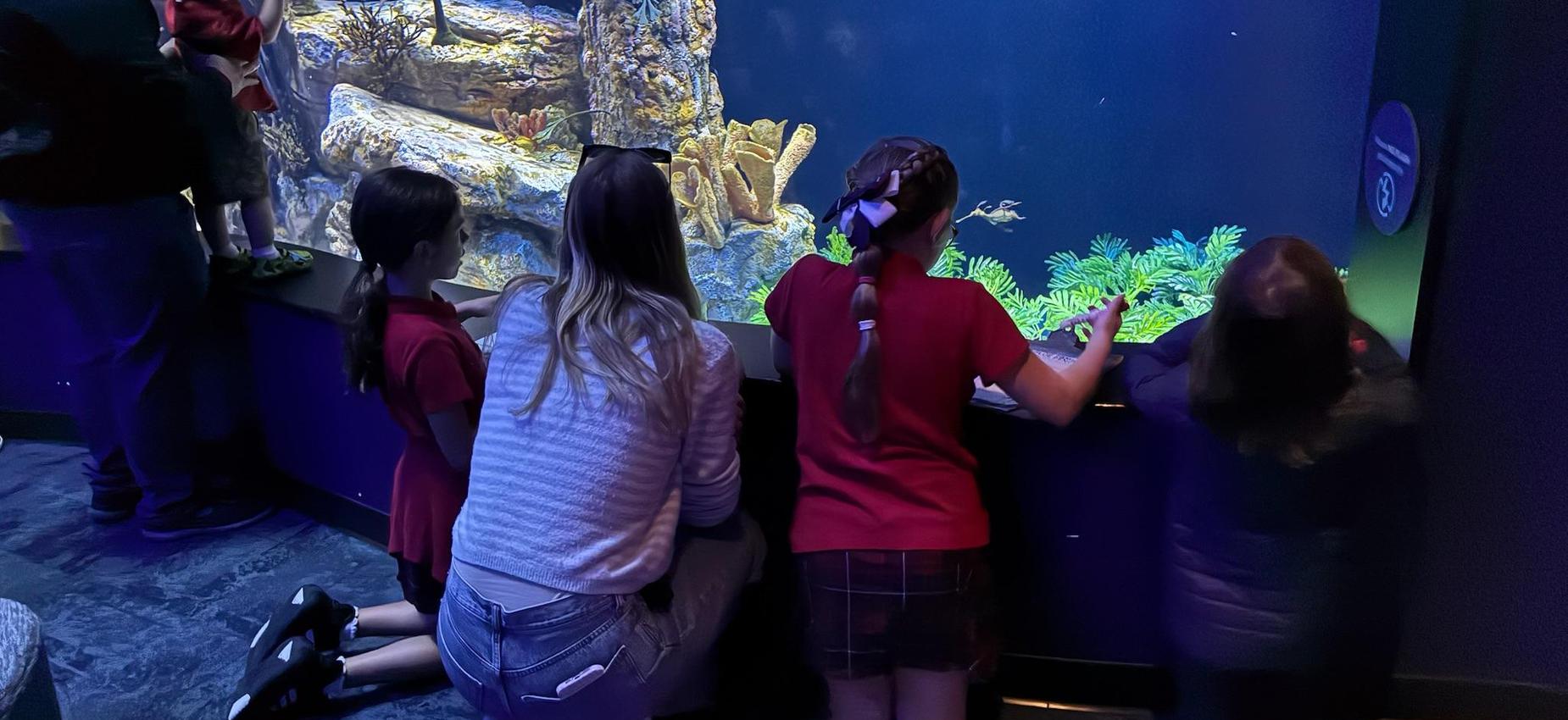 students and teacher mesmerized by the aquarium on 3rd grade field trip