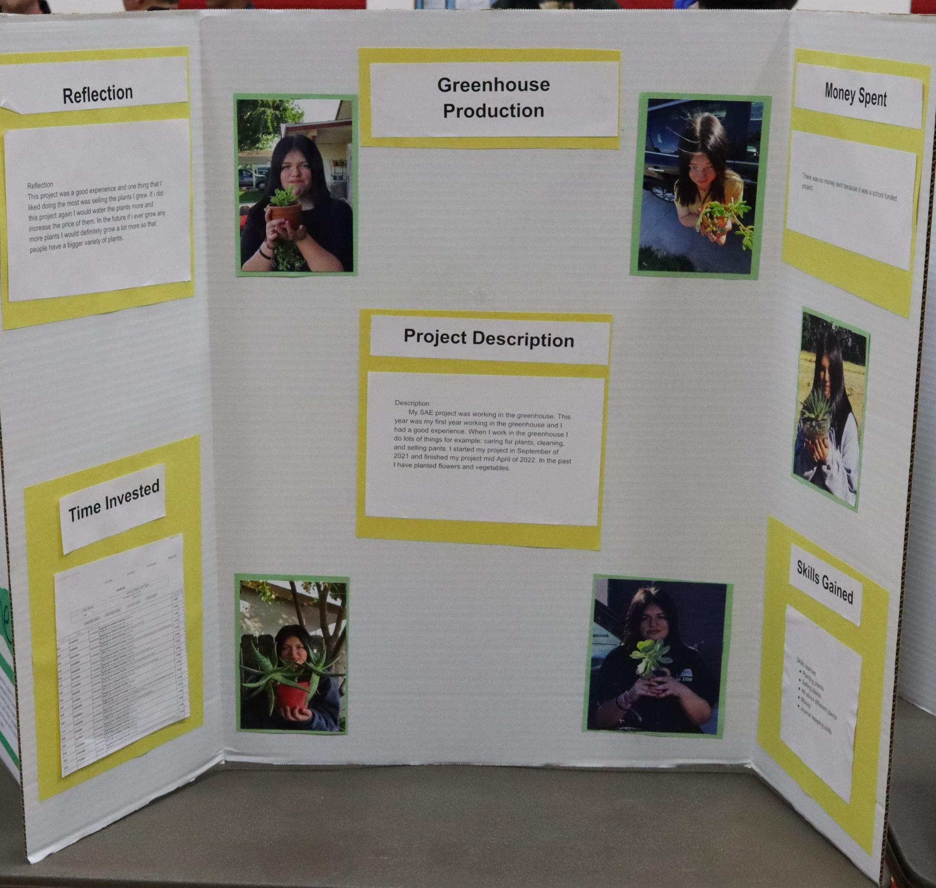 A Supervised Agricultural Experience trifold display