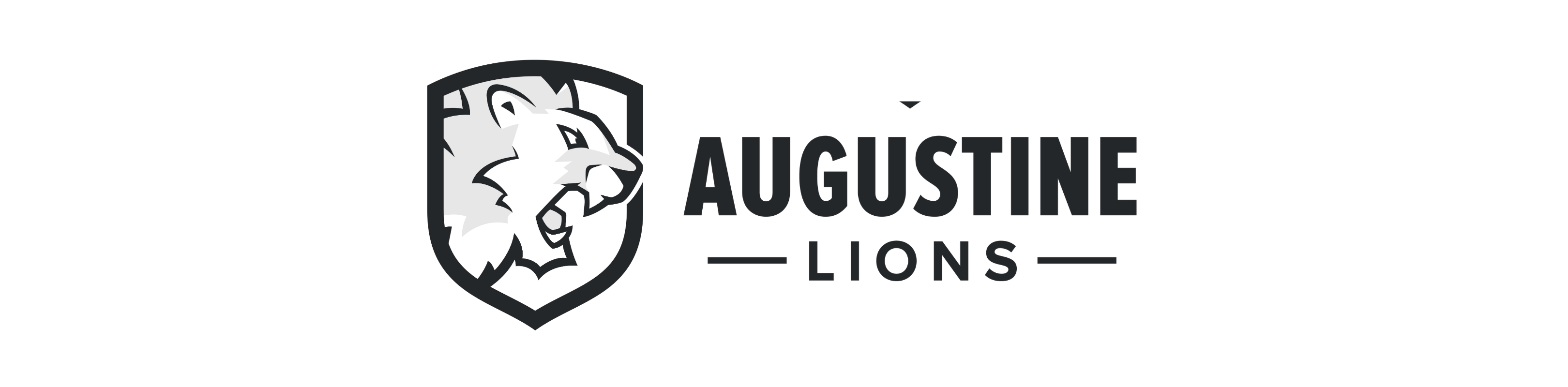 Lions Header