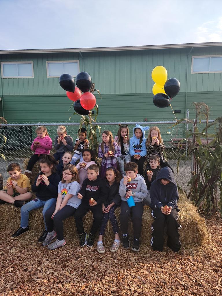 apple Crunch picture