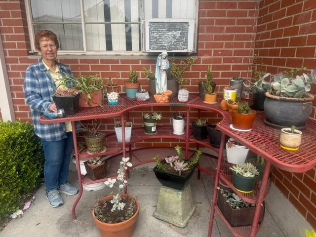 OLR Star - Cindy Joines Featured Photo