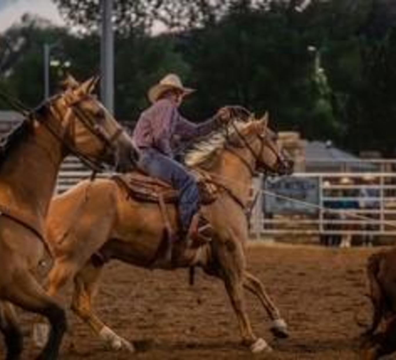 Cowboy riding a horse in a rodeo arena with blurred horses in the foreground.