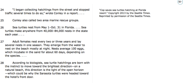 LIGHT POLLUTION 5.png