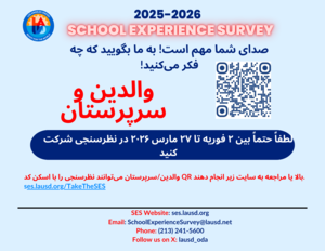 SES Survey flyer